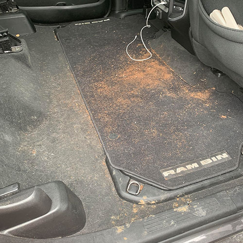 standard interior detailing